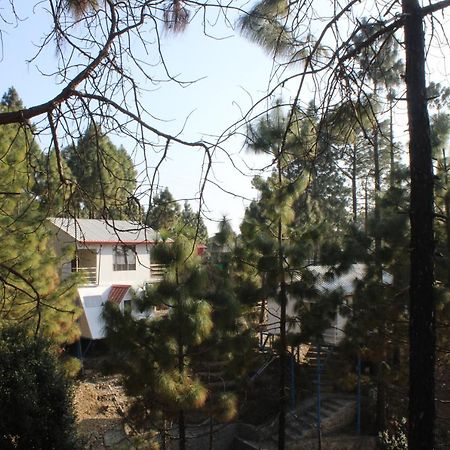 Ghughuti Resort Lansdowne Buitenkant foto